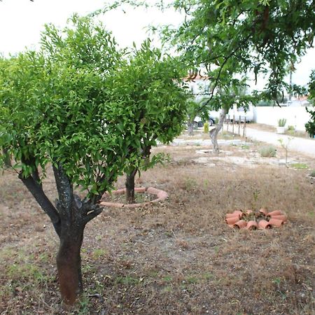 O Mundo Da Lua Villa Azeitao Dış mekan fotoğraf