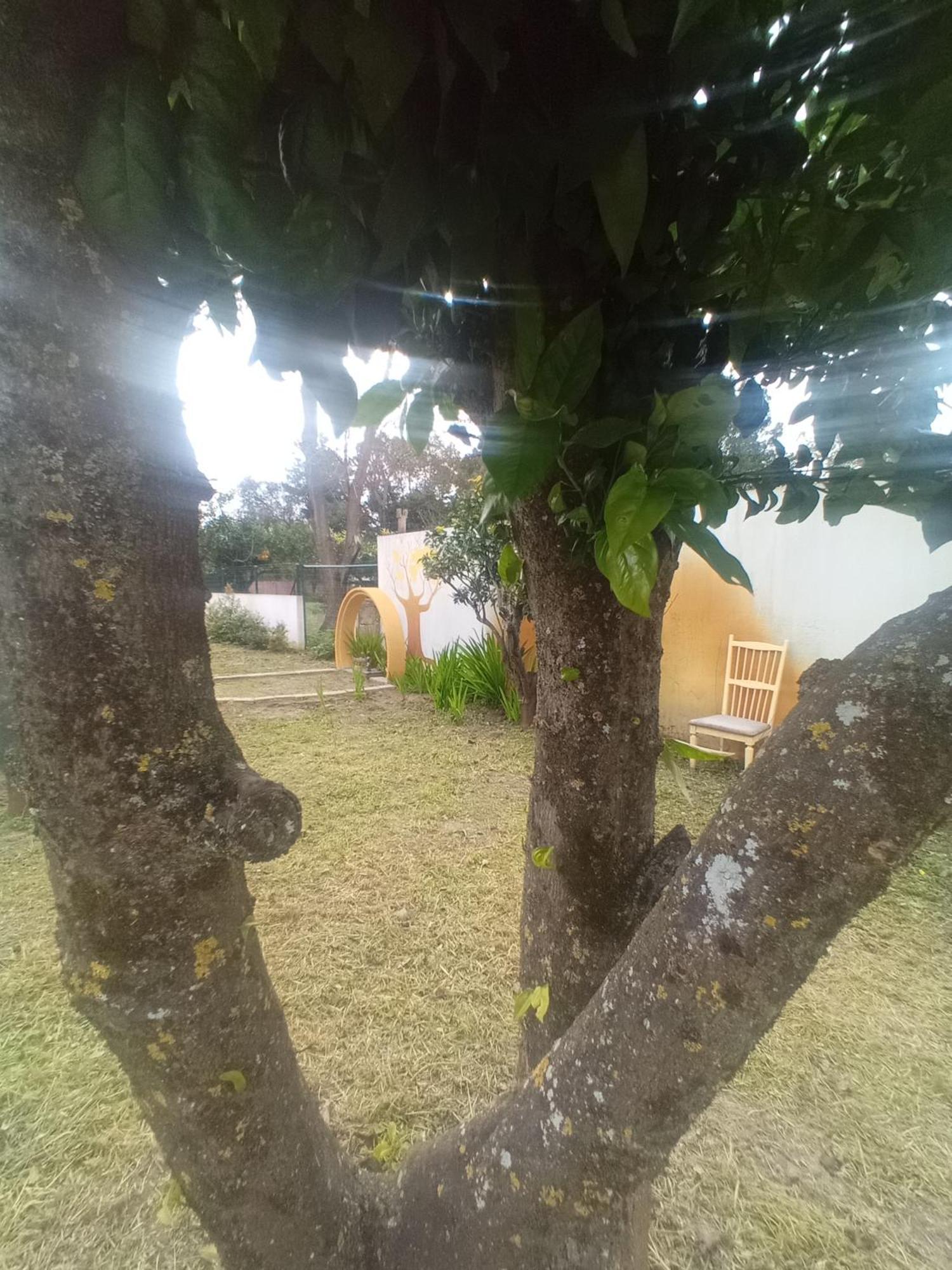 O Mundo Da Lua Villa Azeitao Dış mekan fotoğraf