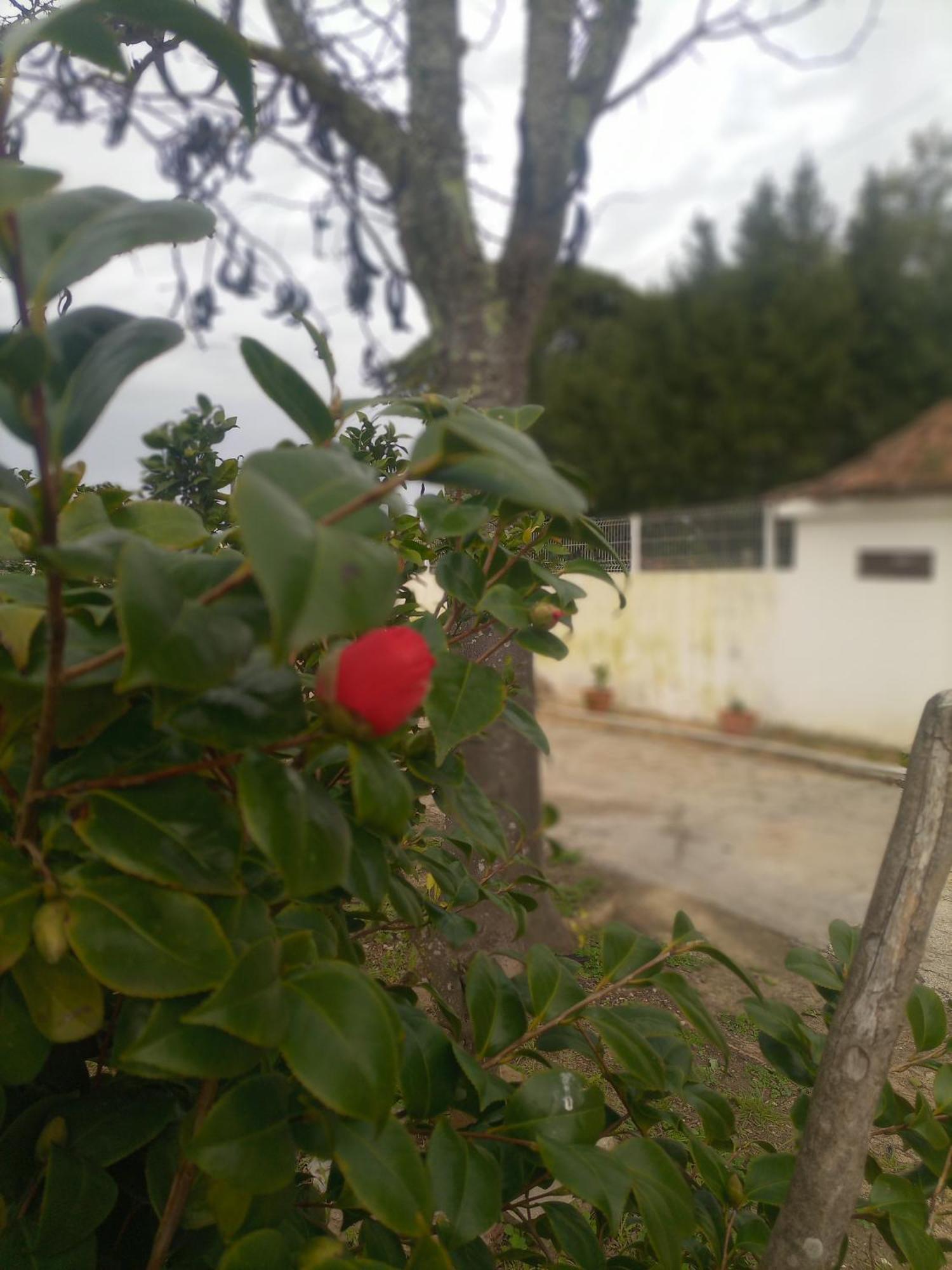 O Mundo Da Lua Villa Azeitao Dış mekan fotoğraf