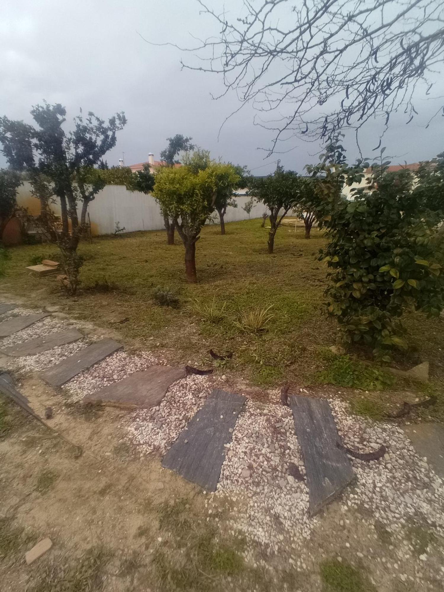 O Mundo Da Lua Villa Azeitao Dış mekan fotoğraf
