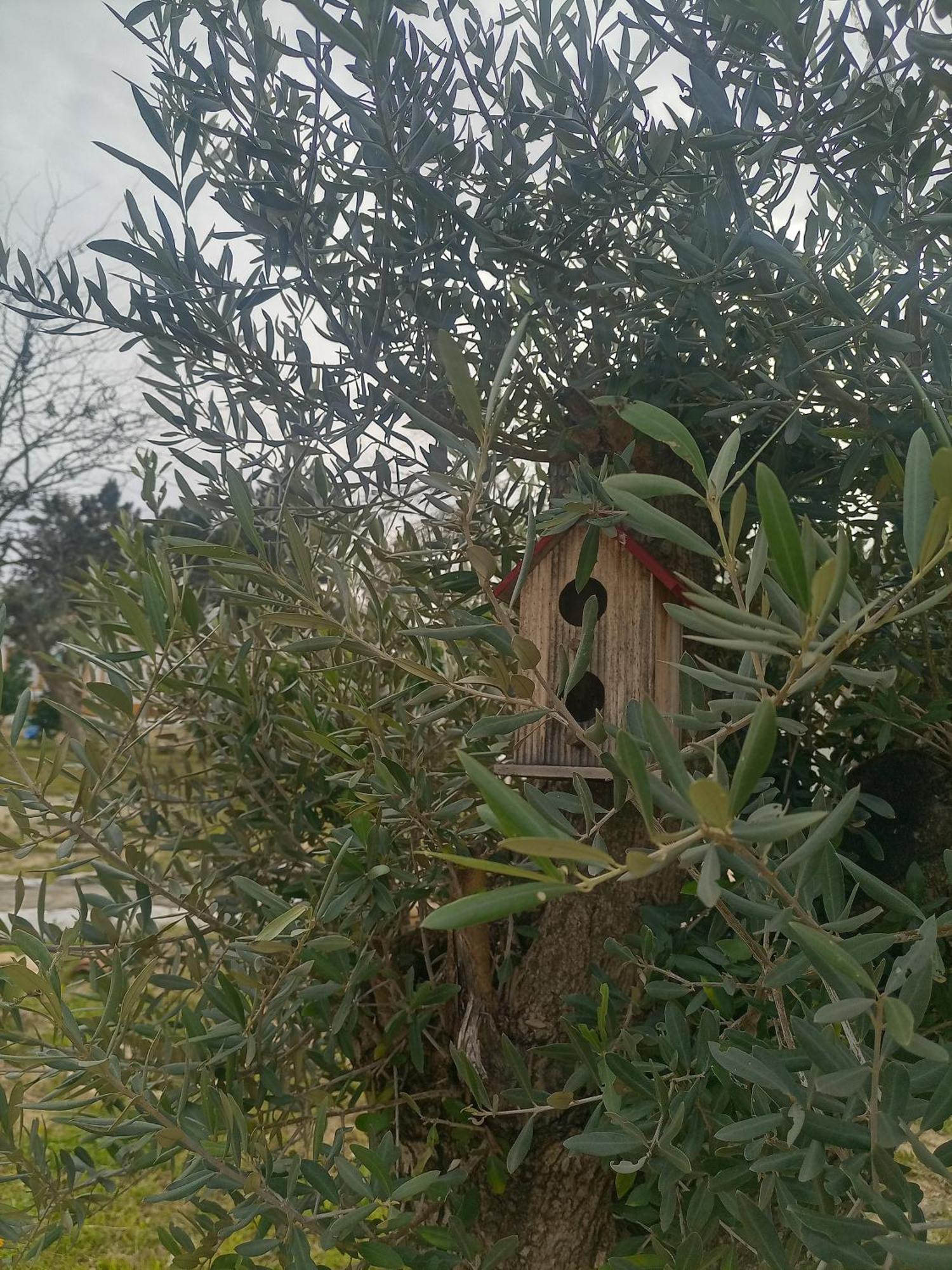 O Mundo Da Lua Villa Azeitao Dış mekan fotoğraf
