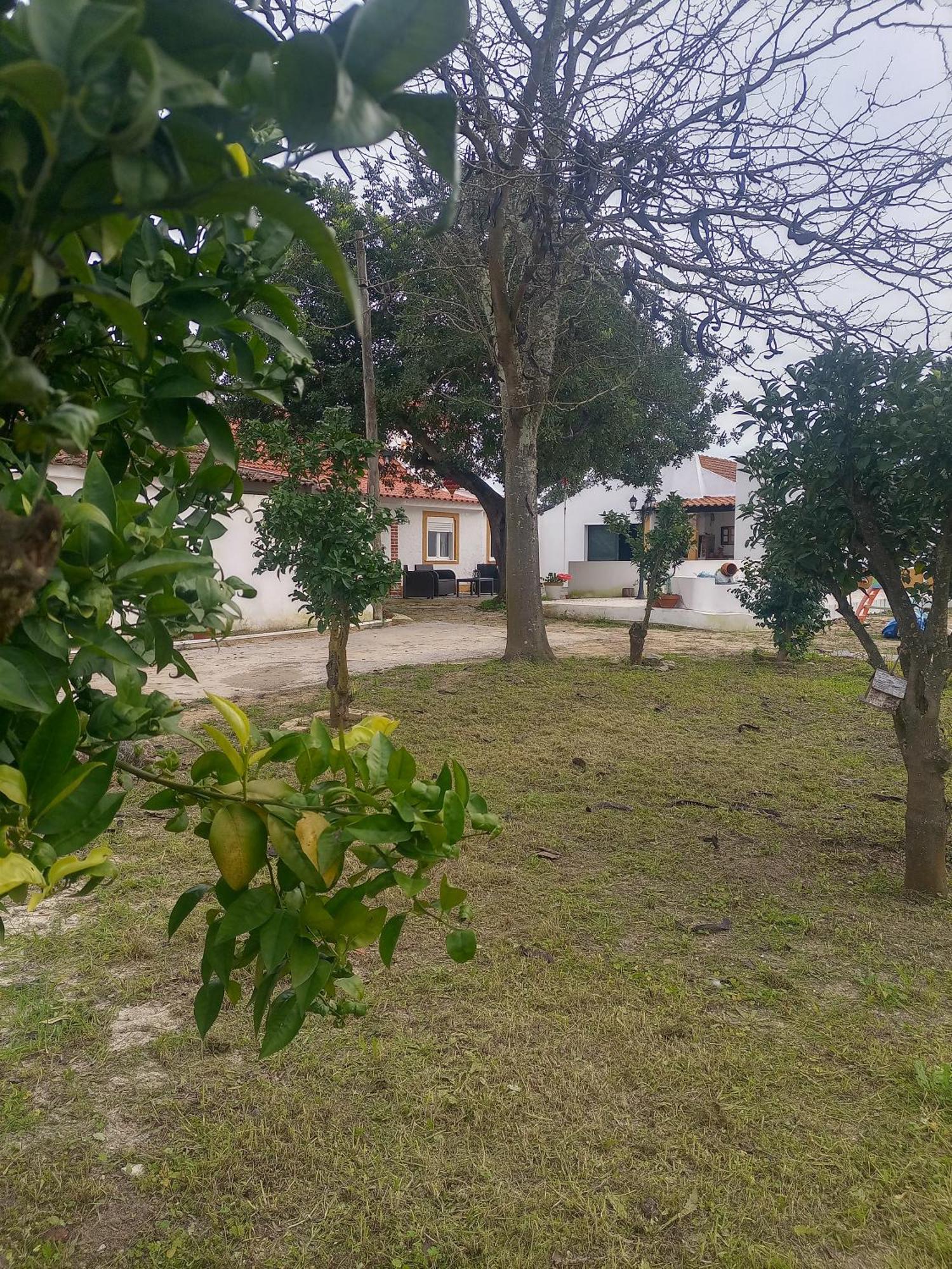 O Mundo Da Lua Villa Azeitao Dış mekan fotoğraf