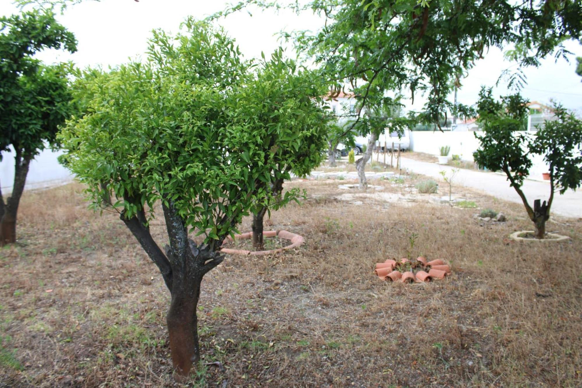 O Mundo Da Lua Villa Azeitao Dış mekan fotoğraf