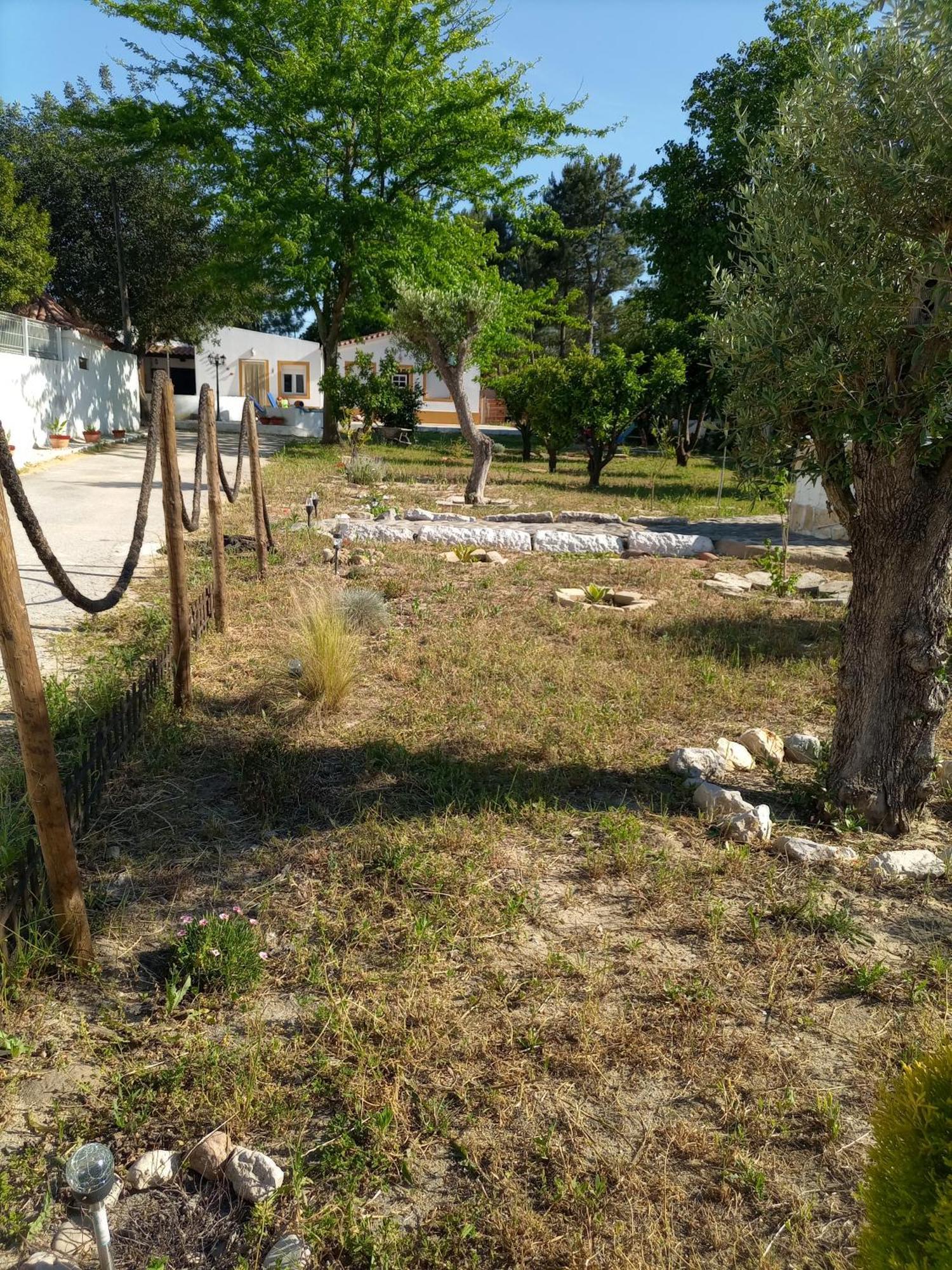 O Mundo Da Lua Villa Azeitao Dış mekan fotoğraf
