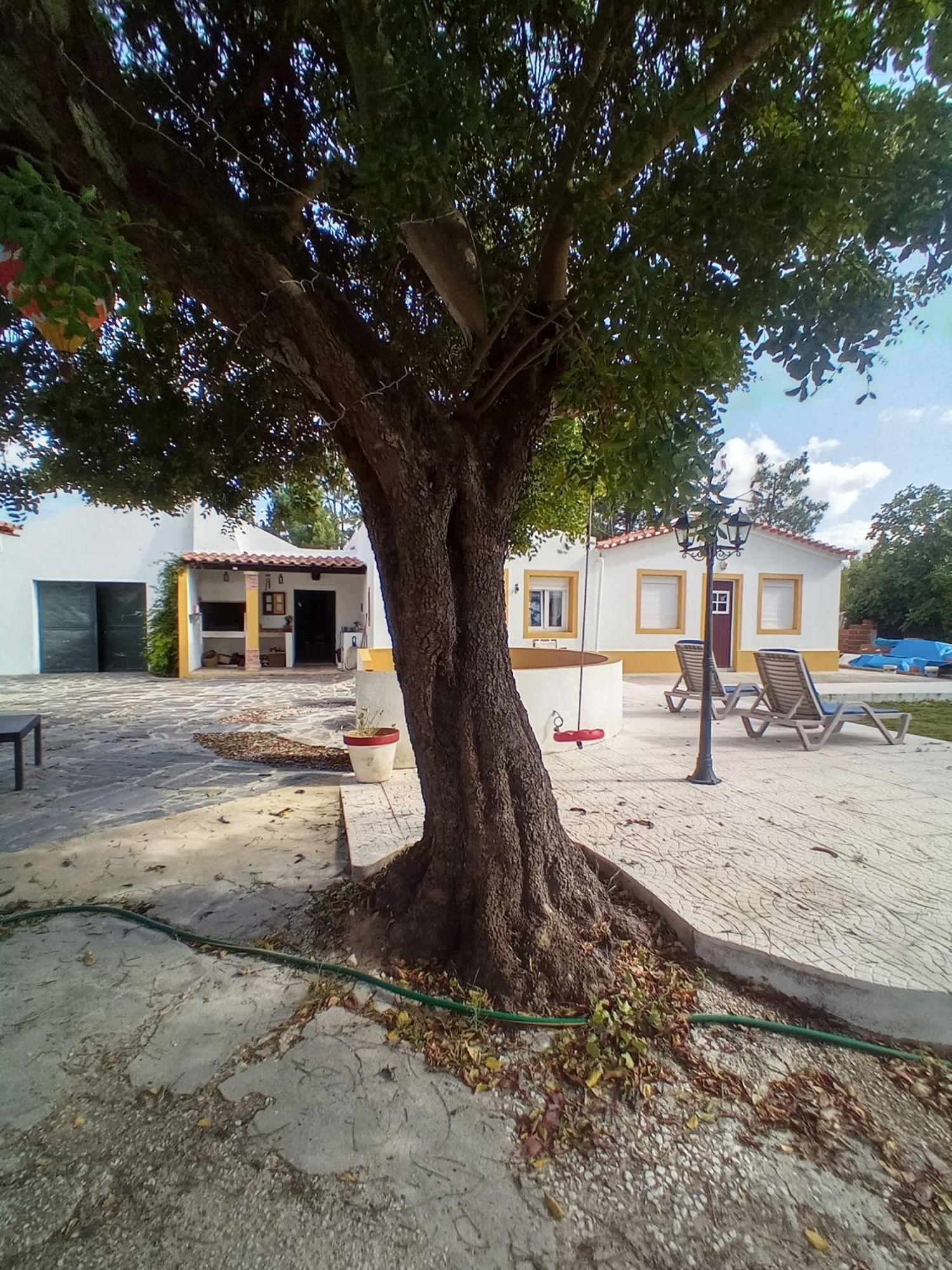 O Mundo Da Lua Villa Azeitao Dış mekan fotoğraf